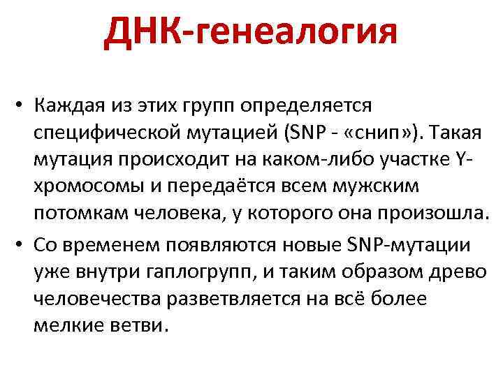 ДНК-генеалогия • Каждая из этих групп определяется специфической мутацией (SNP - «снип» ). Такая