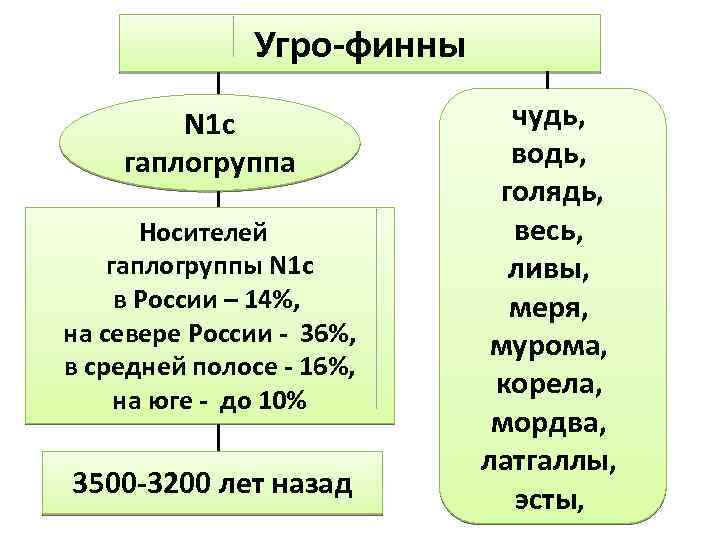 Угро-финны N 1 c гаплогруппа Носителей гаплогруппы N 1 c в России – 14%,