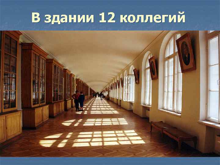 В здании 12 коллегий 