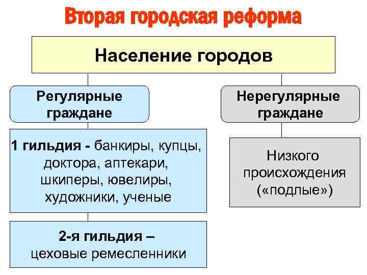 Вторая городская реформа Население городов Регулярные граждане 1 гильдия - банкиры, купцы, доктора, аптекари,