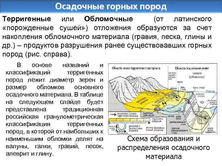 Осадочные горных пород Терригенные или Обломочные (от латинского «порожденные сушей» ) отложения образуются за