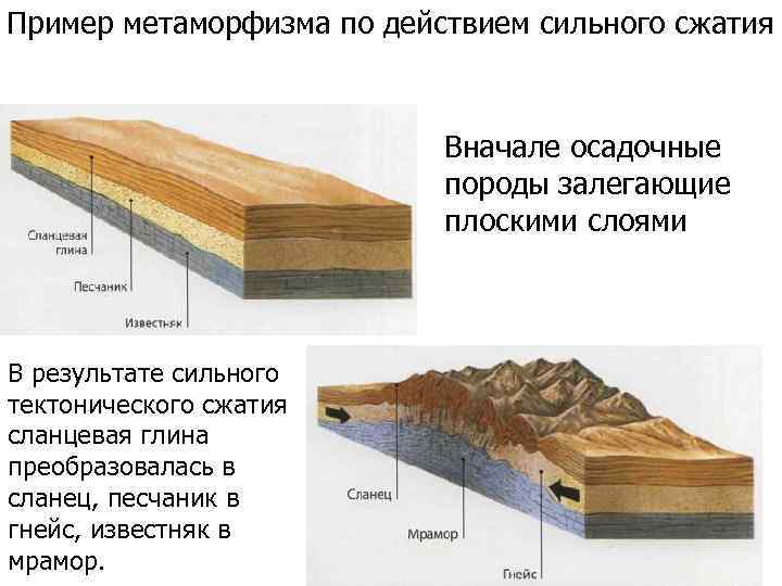 Пример метаморфизма по действием сильного сжатия Вначале осадочные породы залегающие плоскими слоями В результате