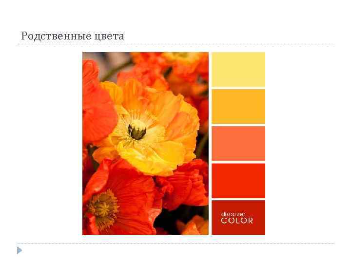 Родственные цвета 