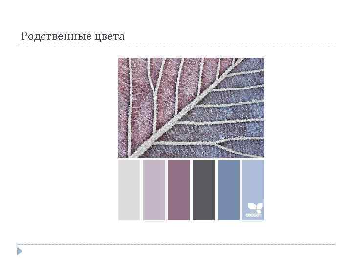 Родственные цвета 