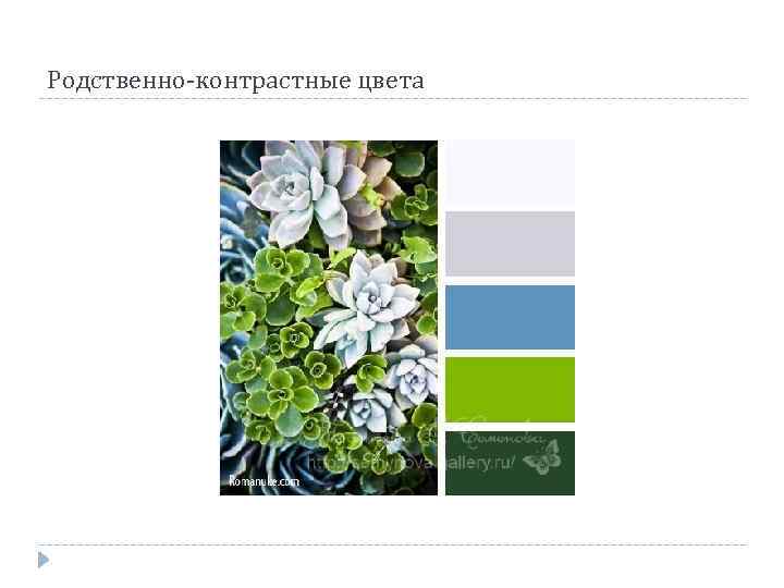 Родственно-контрастные цвета 