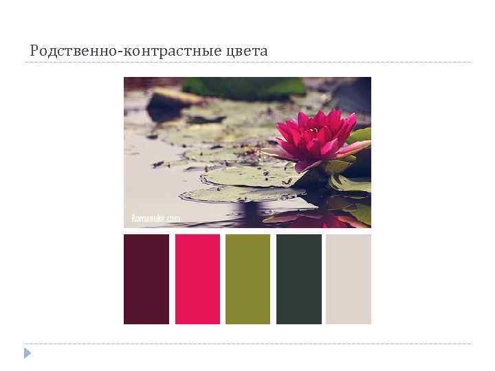 Родственно-контрастные цвета 