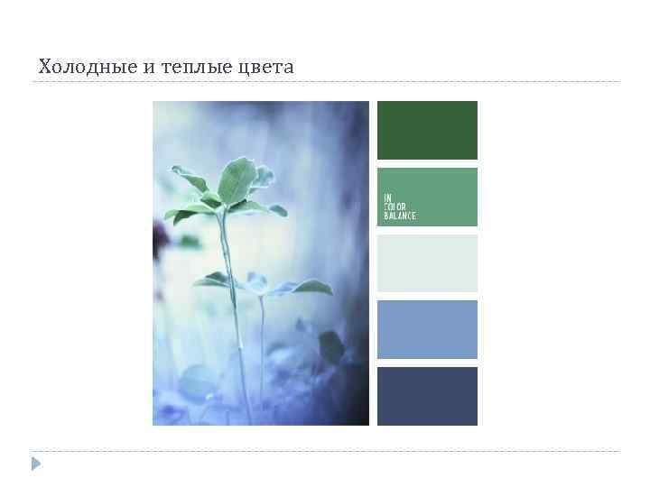 Холодные и теплые цвета 