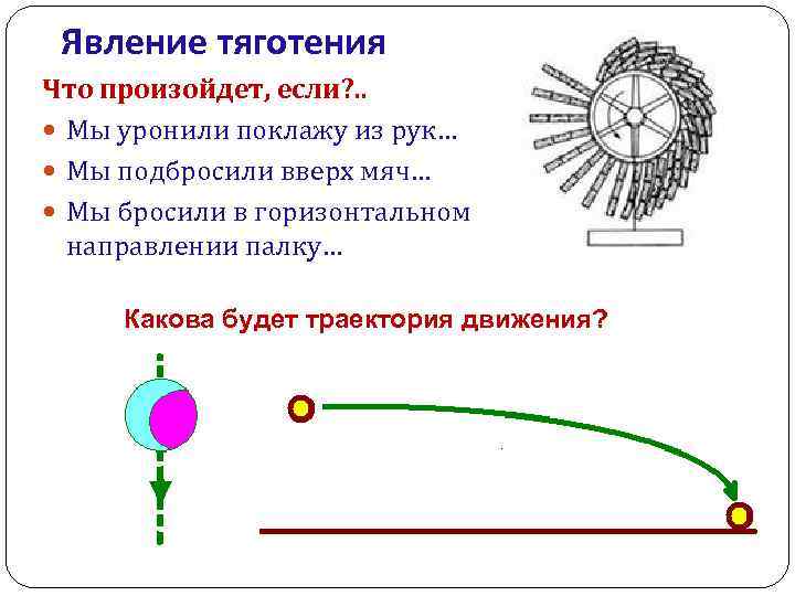 Явление тяготения Что произойдет, если? . . Мы уронили поклажу из рук… Мы подбросили