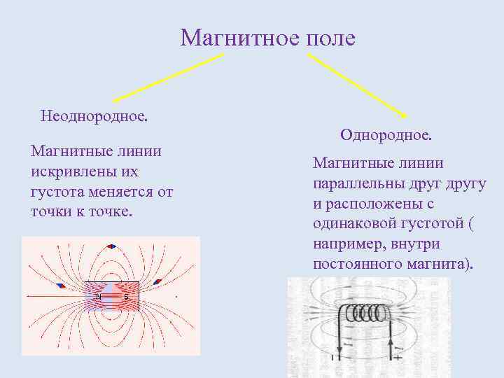 Магнитное поле Неоднородное. Магнитные линии искривлены их густота меняется от точки к точке. Однородное.