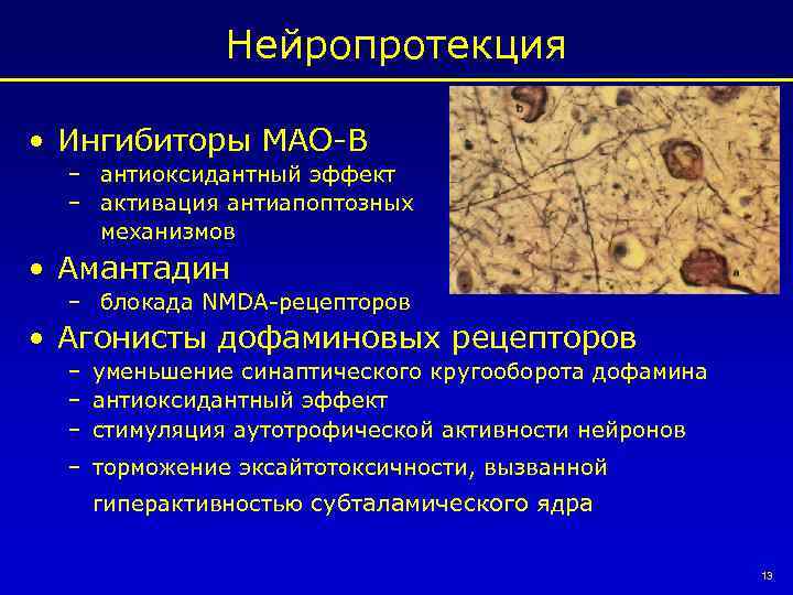 Нейропротекция • Ингибиторы МАО-В – антиоксидантный эффект – активация антиапоптозных механизмов • Амантадин –