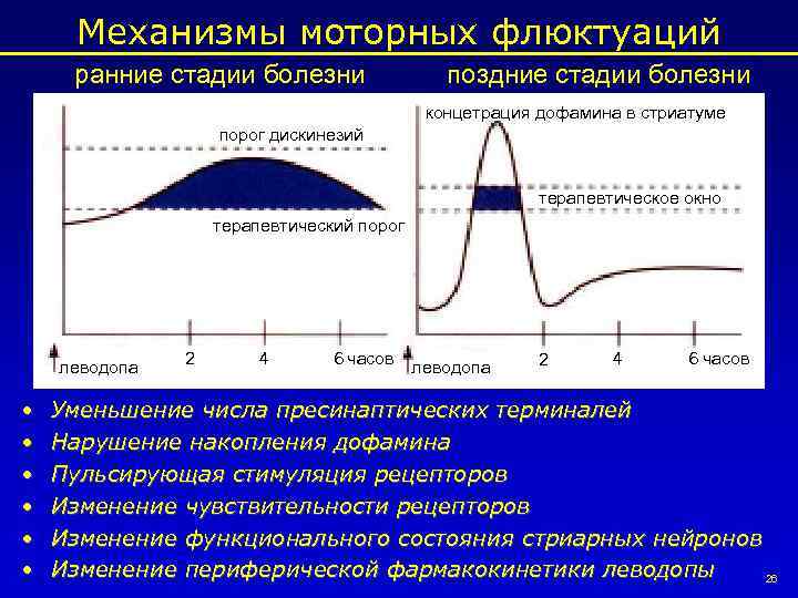 Механизмы моторных флюктуаций ранние стадии болезни поздние стадии болезни концетрация дофамина в стриатуме порог