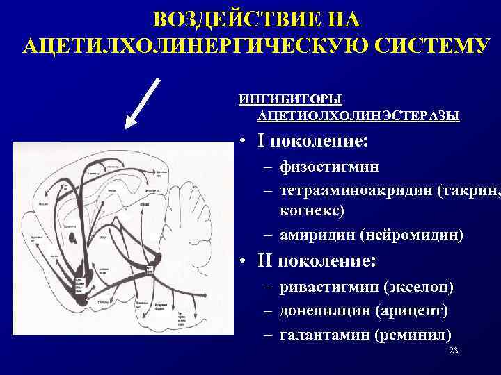 ВОЗДЕЙСТВИЕ НА АЦЕТИЛХОЛИНЕРГИЧЕСКУЮ СИСТЕМУ ИНГИБИТОРЫ АЦЕТИОЛХОЛИНЭСТЕРАЗЫ • I поколение: – физостигмин – тетрааминоакридин (такрин,