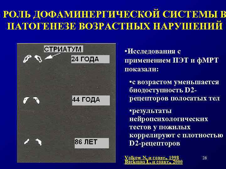 Когнитивные нарушения в пожилом возрасте презентация