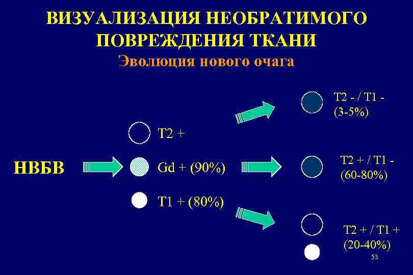 ВИЗУАЛИЗАЦИЯ НЕОБРАТИМОГО ПОВРЕЖДЕНИЯ ТКАНИ Эволюция нового очага T 2 - / T 1 (3