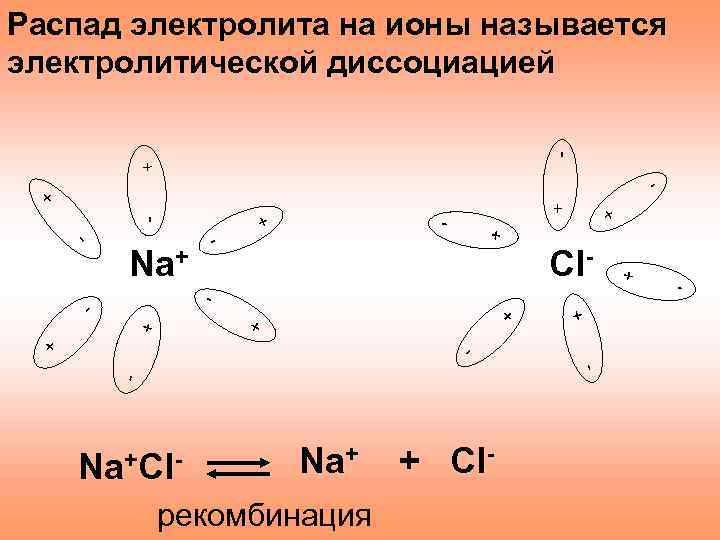 - Распад электролита на ионы называется электролитической диссоциацией + + - + + +