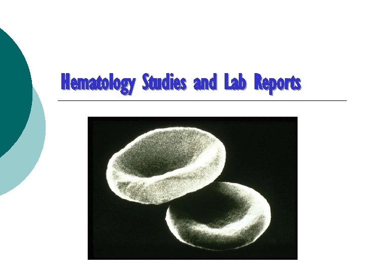 Hematology Studies and Lab Reports 