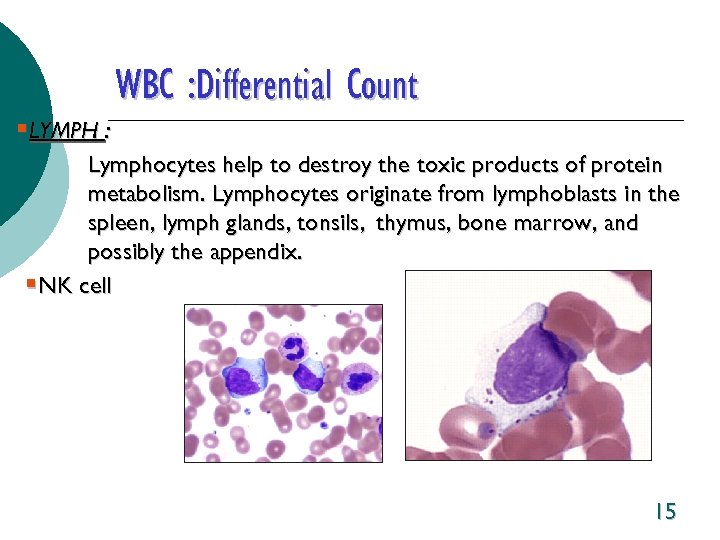 WBC : Differential Count §LYMPH : Lymphocytes help to destroy the toxic products of