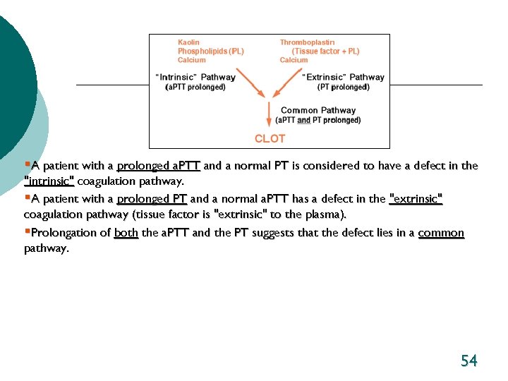 §A patient with a prolonged a. PTT and a normal PT is considered to