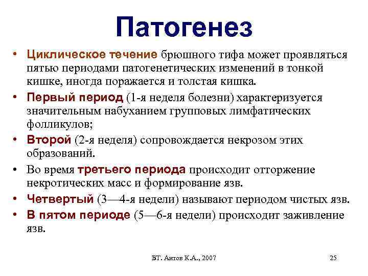 Патогенез • Циклическое течение брюшного тифа может проявляться пятью периодами патогенетических изменений в тонкой