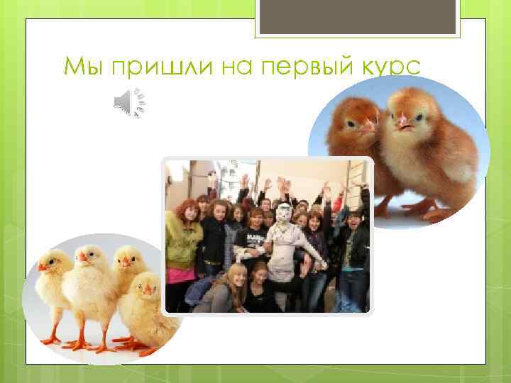 Мы пришли на первый курс 