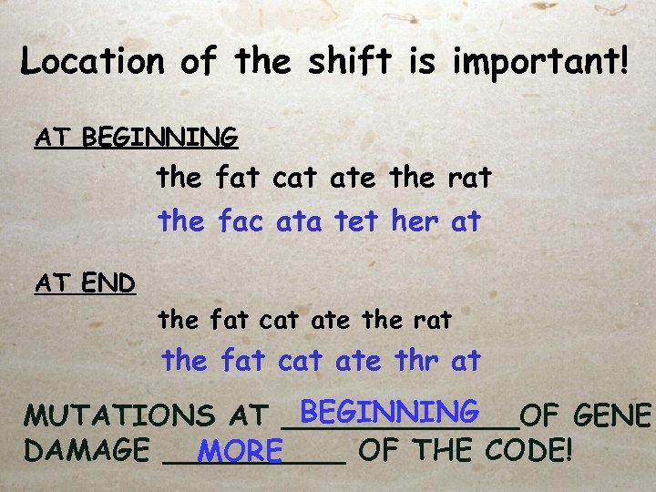 Location of the shift is important! AT BEGINNING the fat cat ate the rat
