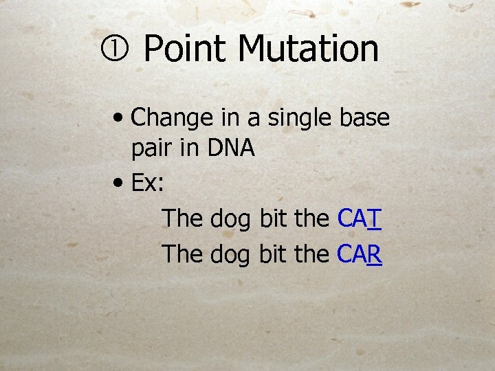  Point Mutation • Change in a single base pair in DNA • Ex: