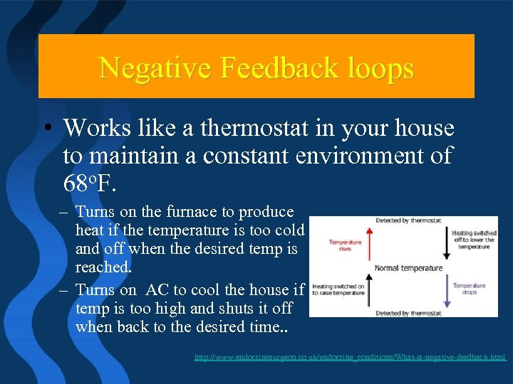 Negative Feedback loops • Works like a thermostat in your house to maintain a