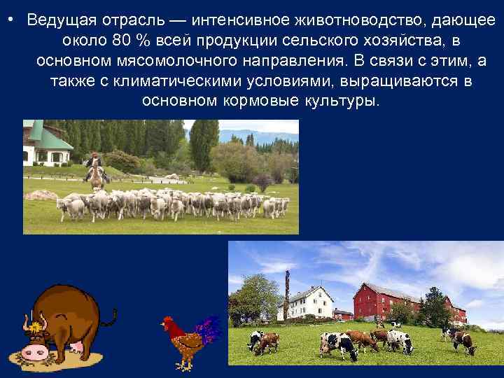  • Ведущая отрасль — интенсивное животноводство, дающее около 80 % всей продукции сельского