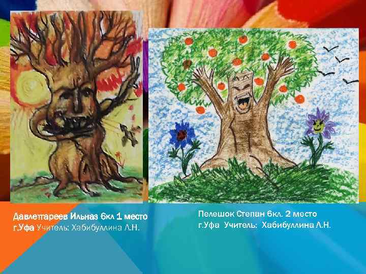 Давлетгареев Ильназ 6 кл 1 место г. Уфа Учитель: Хабибуллина Л. Н. Пелешок Степан