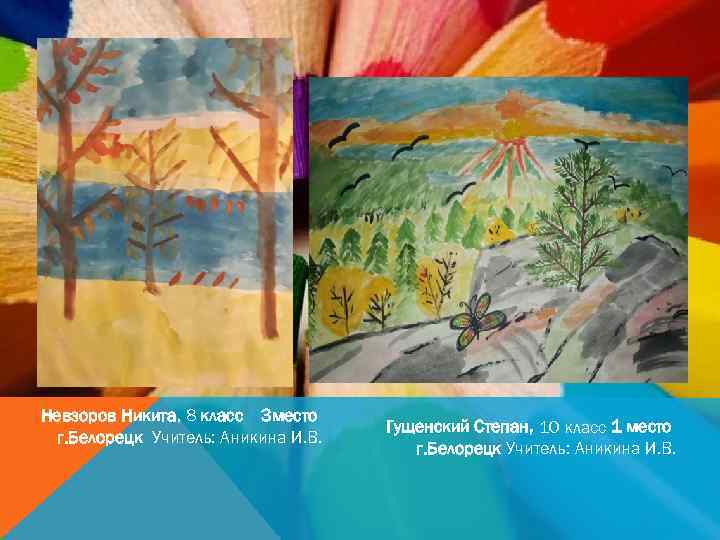 Невзоров Никита, 8 класс 3 место г. Белорецк Учитель: Аникина И. В. Гущенский Степан,