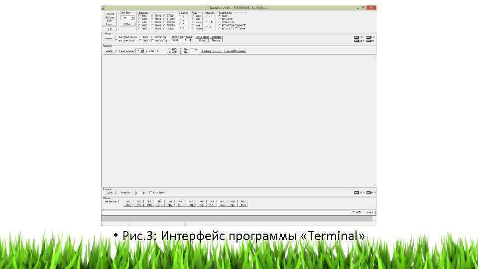  • Рис. 3: Интерфейс программы «Terminal» 