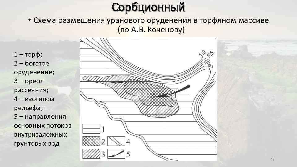 Сорбционный • Схема размещения уранового оруденения в торфяном массиве (по А. В. Коченову) 1