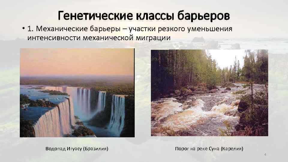 Генетические классы барьеров • 1. Механические барьеры – участки резкого уменьшения интенсивности механической миграции