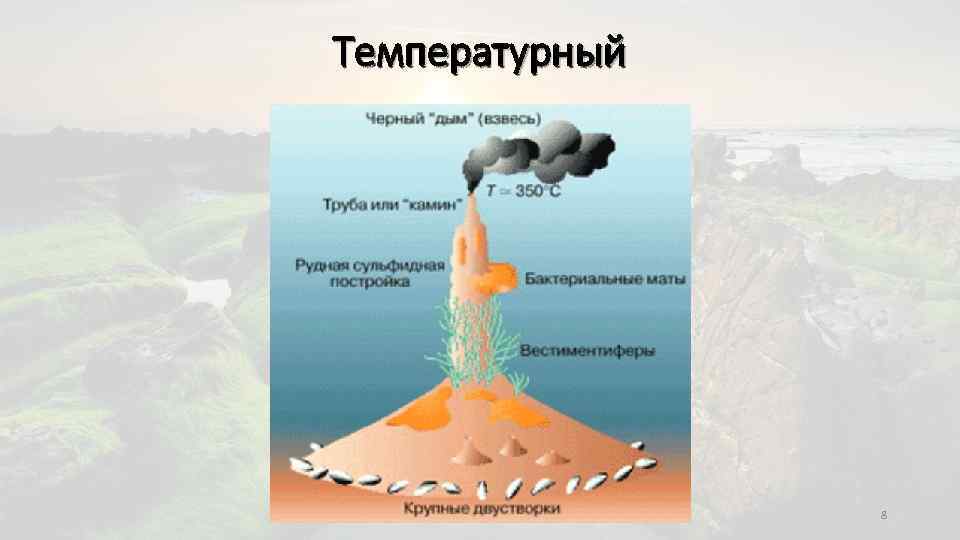 Температурный 8 