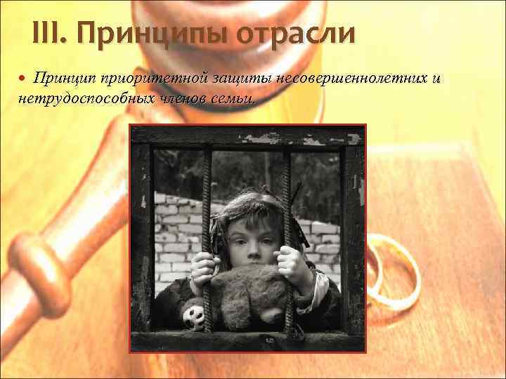 III. Принципы отрасли Принцип приоритетной защиты несовершеннолетних и нетрудоспособных членов семьи. 