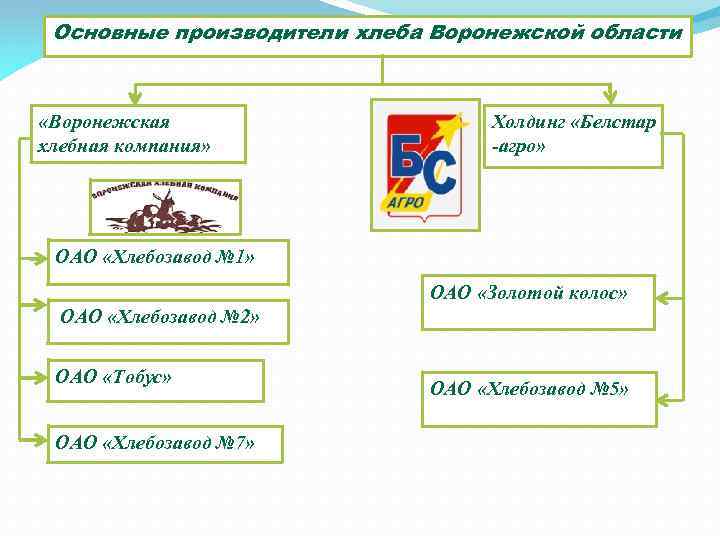 Основные производители хлеба Воронежской области «Воронежская хлебная компания» Холдинг «Белстар -агро» ОАО «Хлебозавод №
