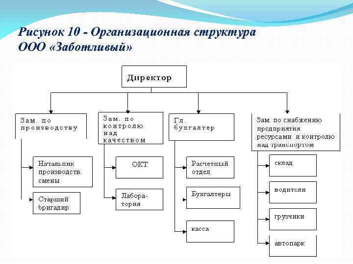 Рисунок 10 - Организационная структура ООО «Заботливый» 