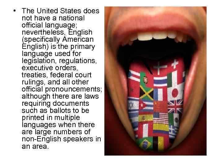  • The United States does not have a national official language; nevertheless, English