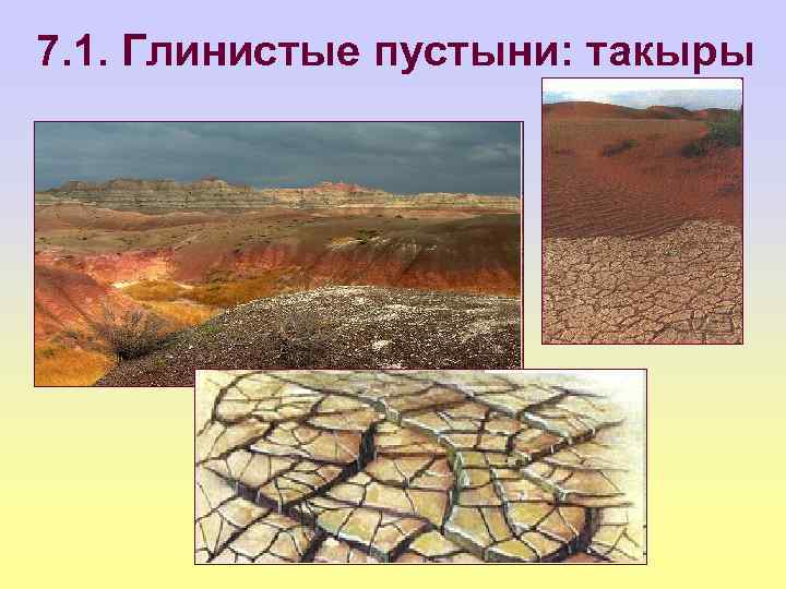7. 1. Глинистые пустыни: такыры 