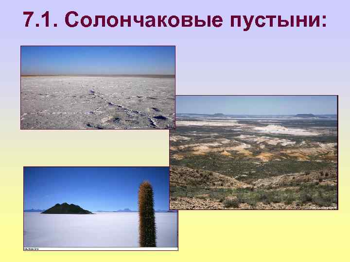 7. 1. Солончаковые пустыни: 