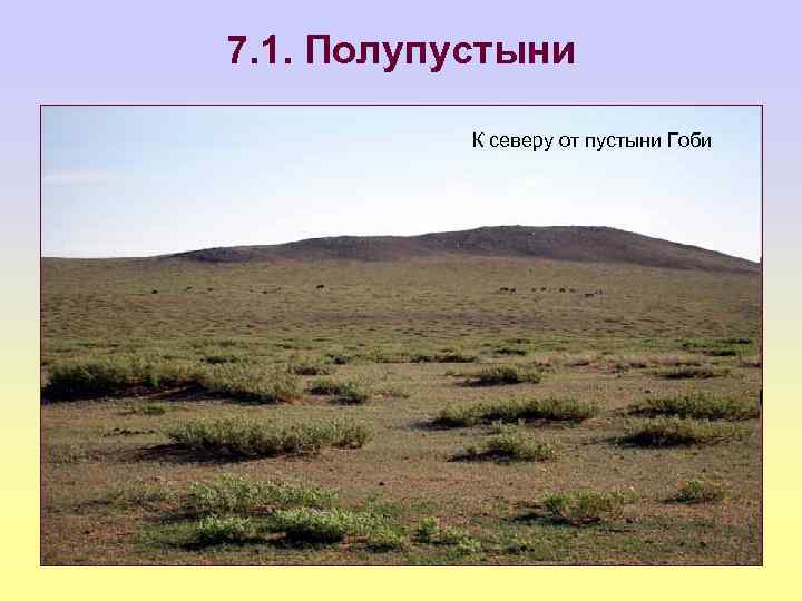 7. 1. Полупустыни К северу от пустыни Гоби 