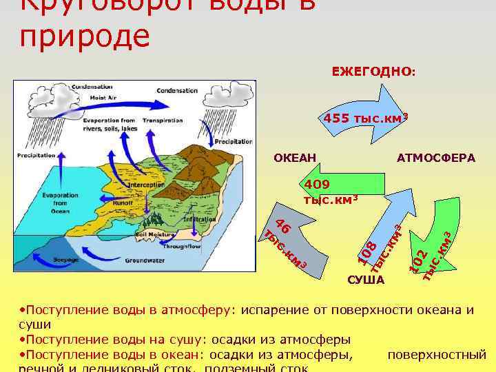 Круговорот воды в природе ЕЖЕГОДНО: 455 тыс. км 3 АТМОСФЕРА ОКЕАН 409 тыс. км