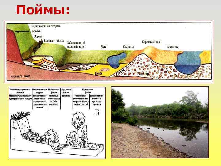 Укажите ошибку в данной схеме истоки реки озера моря ледники болота подземные воды