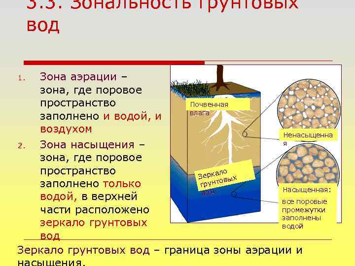 3. 3. Зональность грунтовых вод Зона аэрации – зона, где поровое пространство Почвенная влага