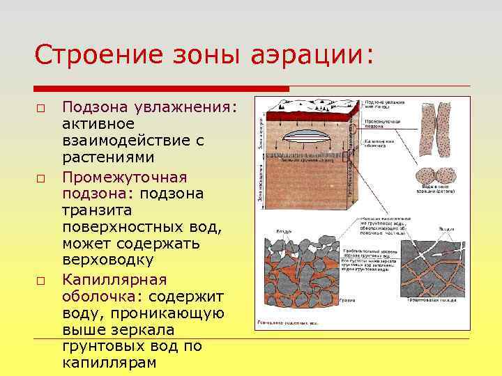 Строение зоны аэрации: o o o Подзона увлажнения: активное взаимодействие с растениями Промежуточная подзона: