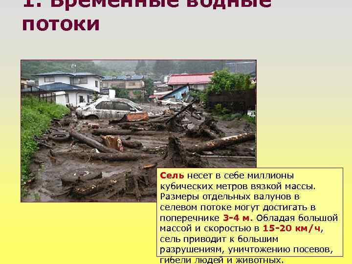 1. Временные водные потоки Сель несет в себе миллионы кубических метров вязкой массы. Размеры