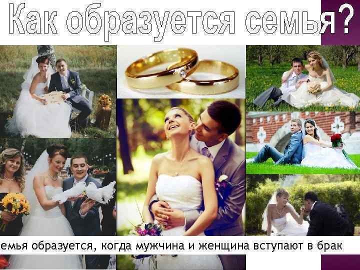 Семья образуется, когда мужчина и женщина вступают в брак 