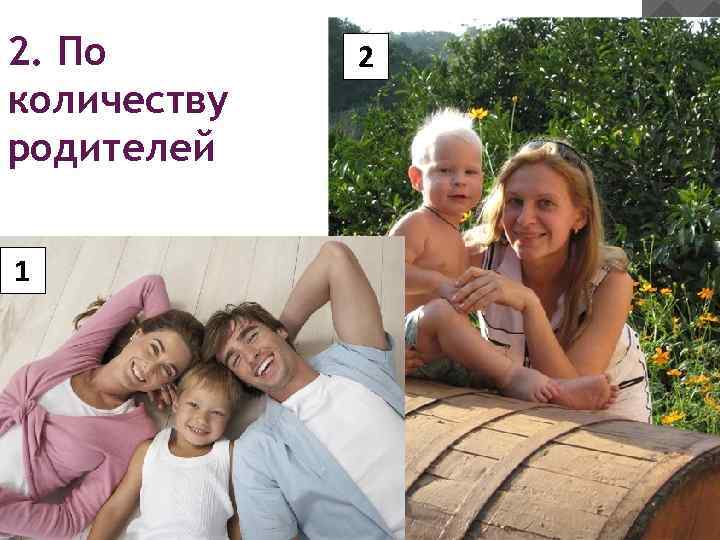 2. По количеству родителей 1 2 