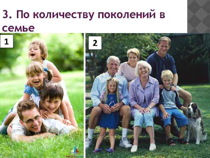 3. По количеству поколений в семье 1 2 