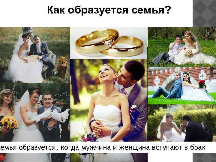 Как образуется семья? Семья образуется, когда мужчина и женщина вступают в брак 